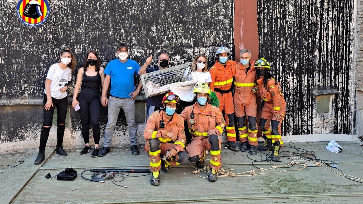 Así han rescatado los bomberos a un gato enganchado en los bajos de la Casa de la Cultura de Alzira