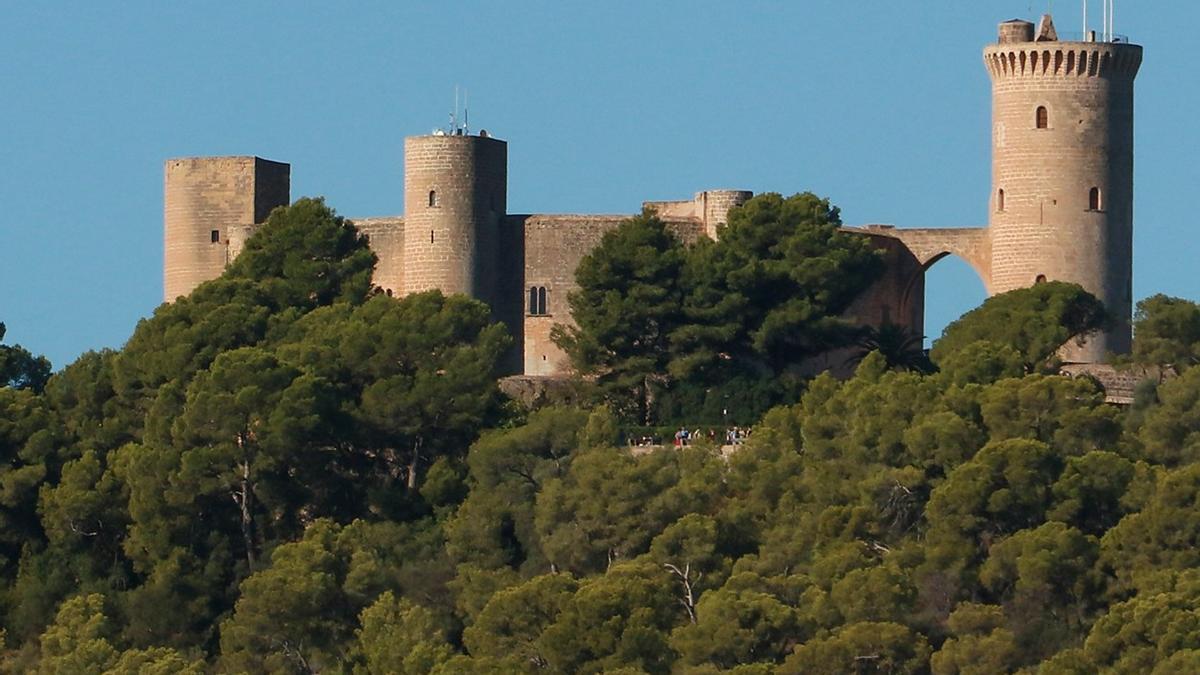 Große Kiefern versperren die Sicht auf das Castell de Bellver