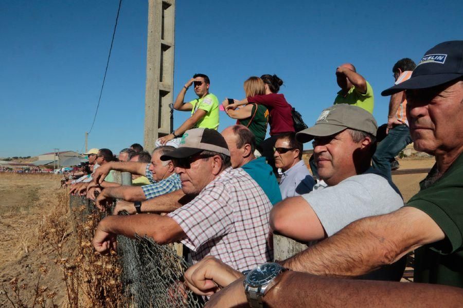 Encierro mixto en San Miguel de la Ribera