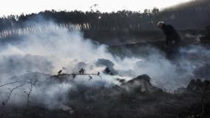 Nueve fuegos forestales en la región, de los cuales 7 están controlados