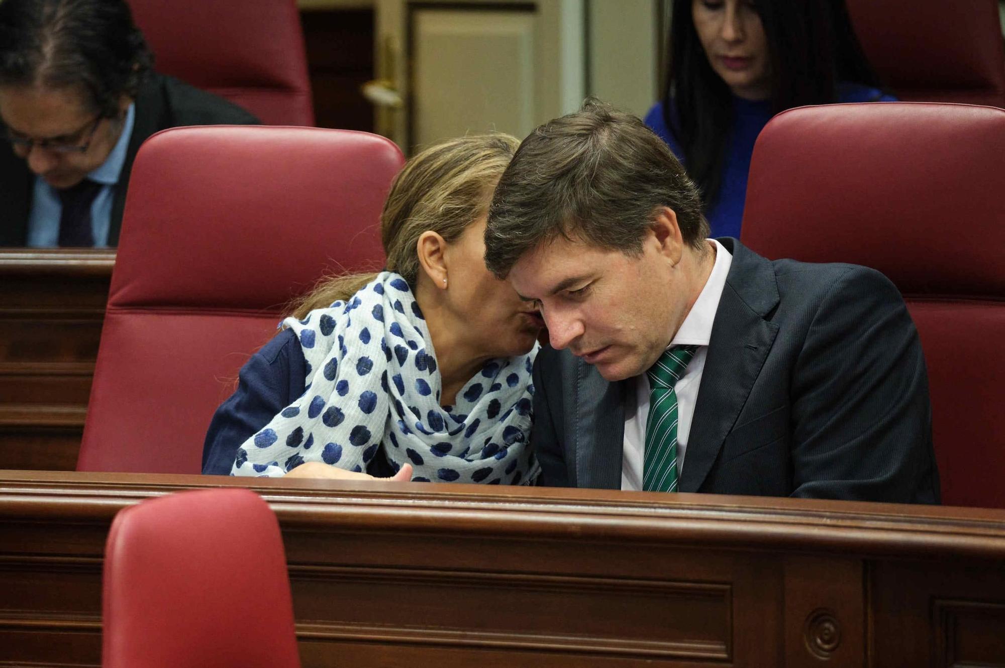Pleno del Parlamento de Canarias (07/11/2023)