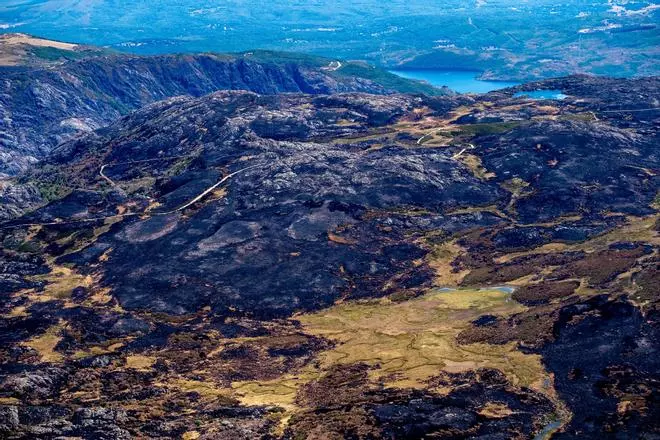 GALERÍA | Vista aérea de la superficie quemada en el entorno del Lago de Sanabria por el incendio de Porto