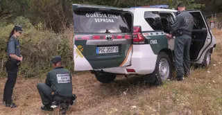 Investigaciones del Seprona llevaron a prisión a diez incendiarios en los últimos cinco años en Ourense