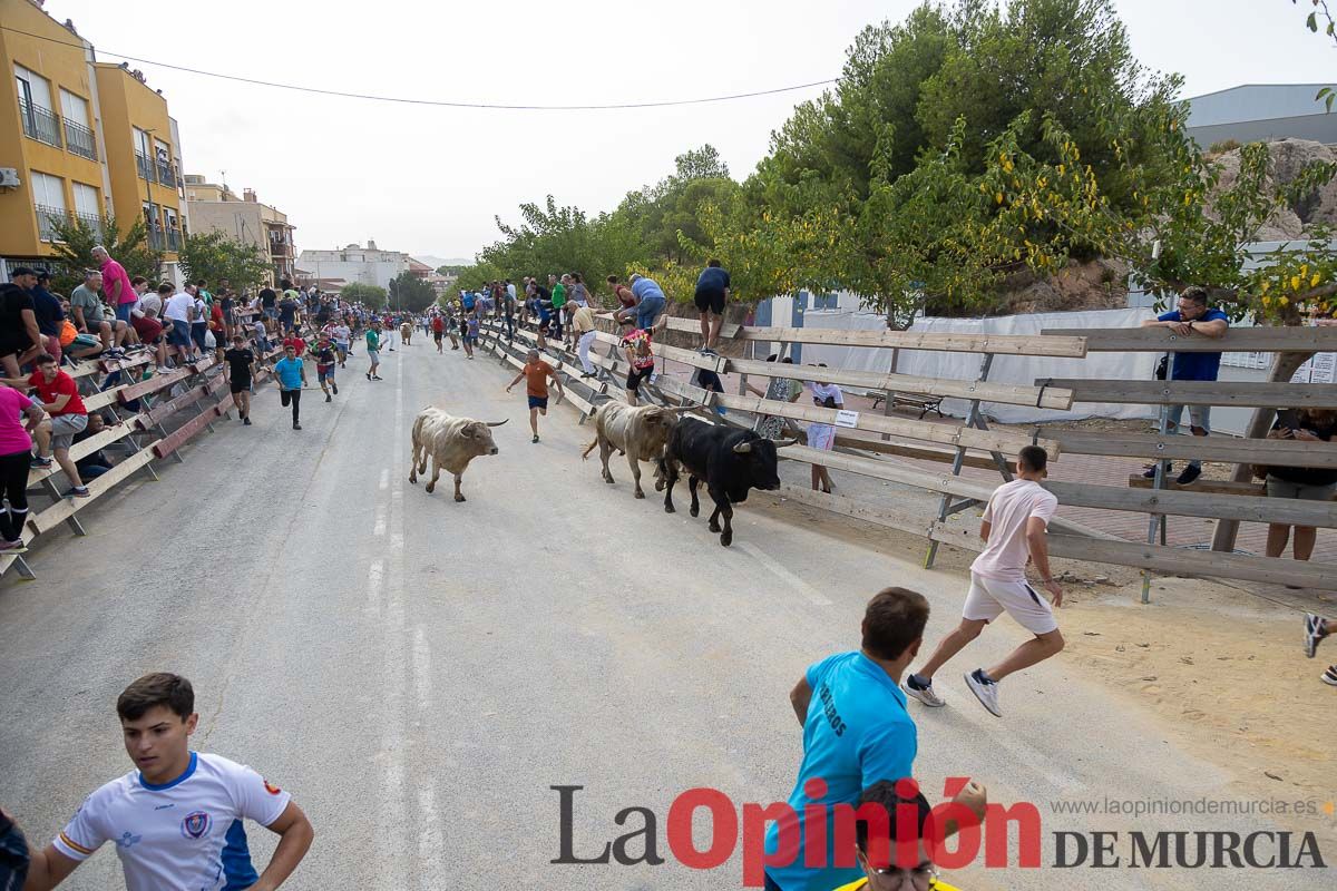 Segundo encierro de la Feria Taurina del Arroz en Calasparra