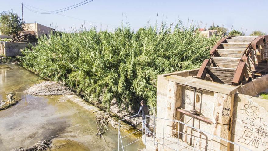 El milenario regadío de Orihuela es la apuesta de los técnicos como Patrimonio de la Humanidad