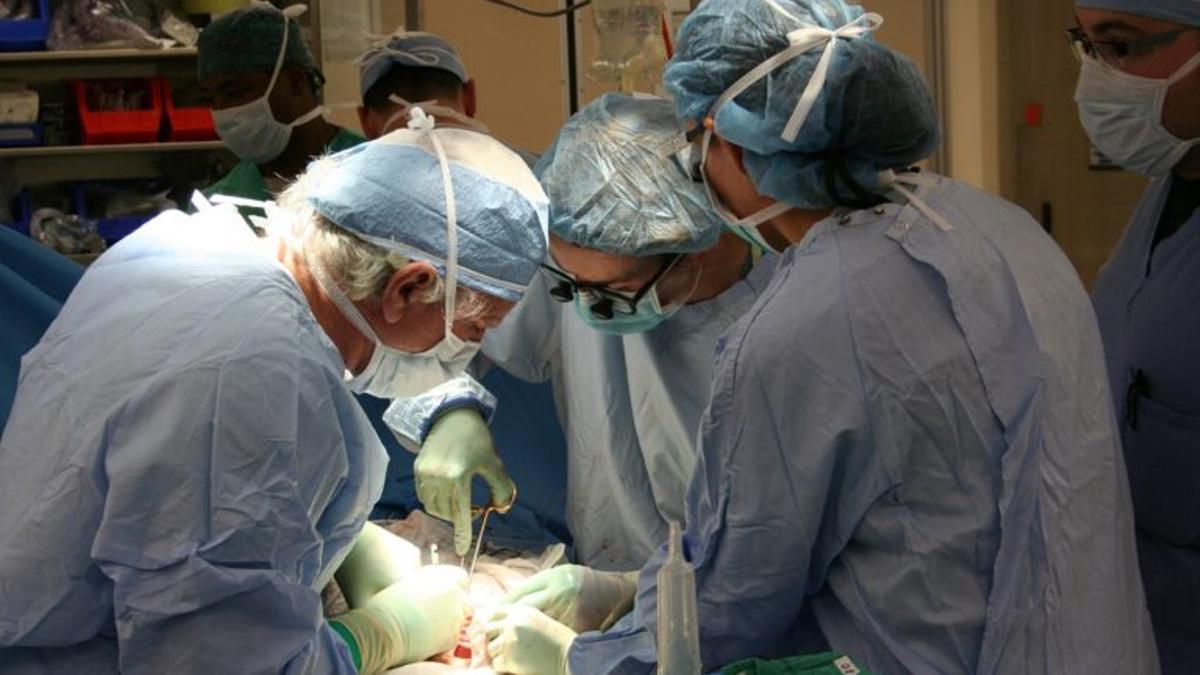 Los trasplantes en España resisten a la pandemia del coronavirus