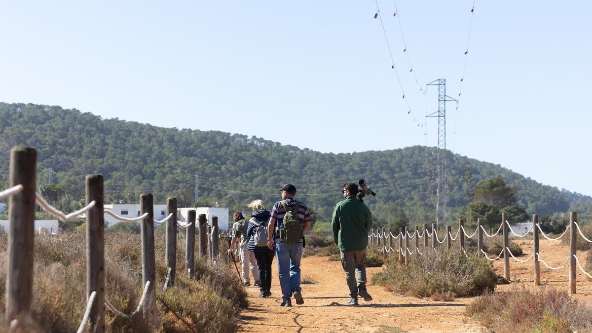 Jornadas de temperatura suaves esta semana.