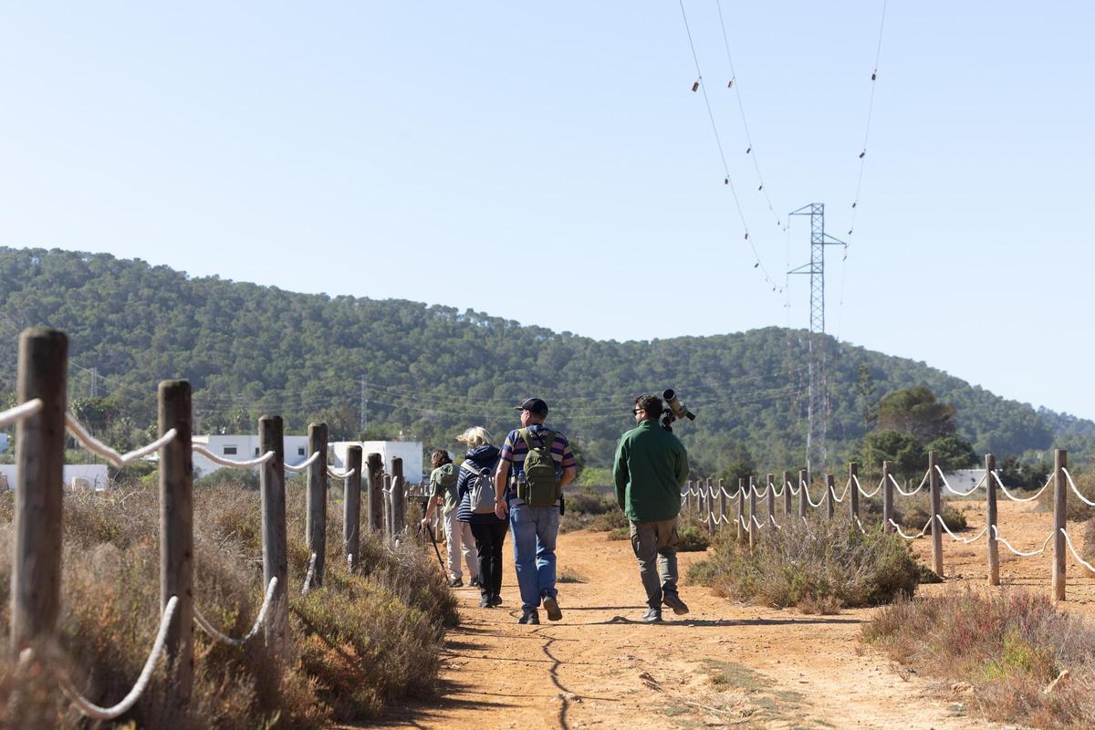 Archivo | Jornada soleada en Ibiza