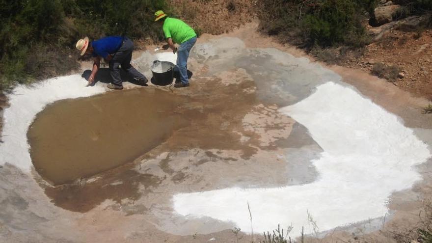 La situación del monte obliga a actuar a los cazadores