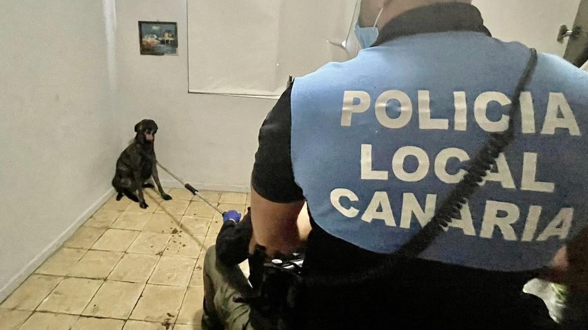 Un agente de la Policía Local de La Laguna sujeta al perro tras atacar a su dueño