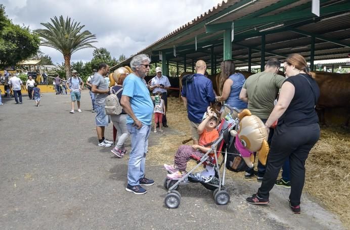 ARUCAS GRAN CANARIA A 27/05/2017. Feria de Ganado en la Granja del Cabildo de Gran Canaria. FOTO: J.PÉREZ CURBELO