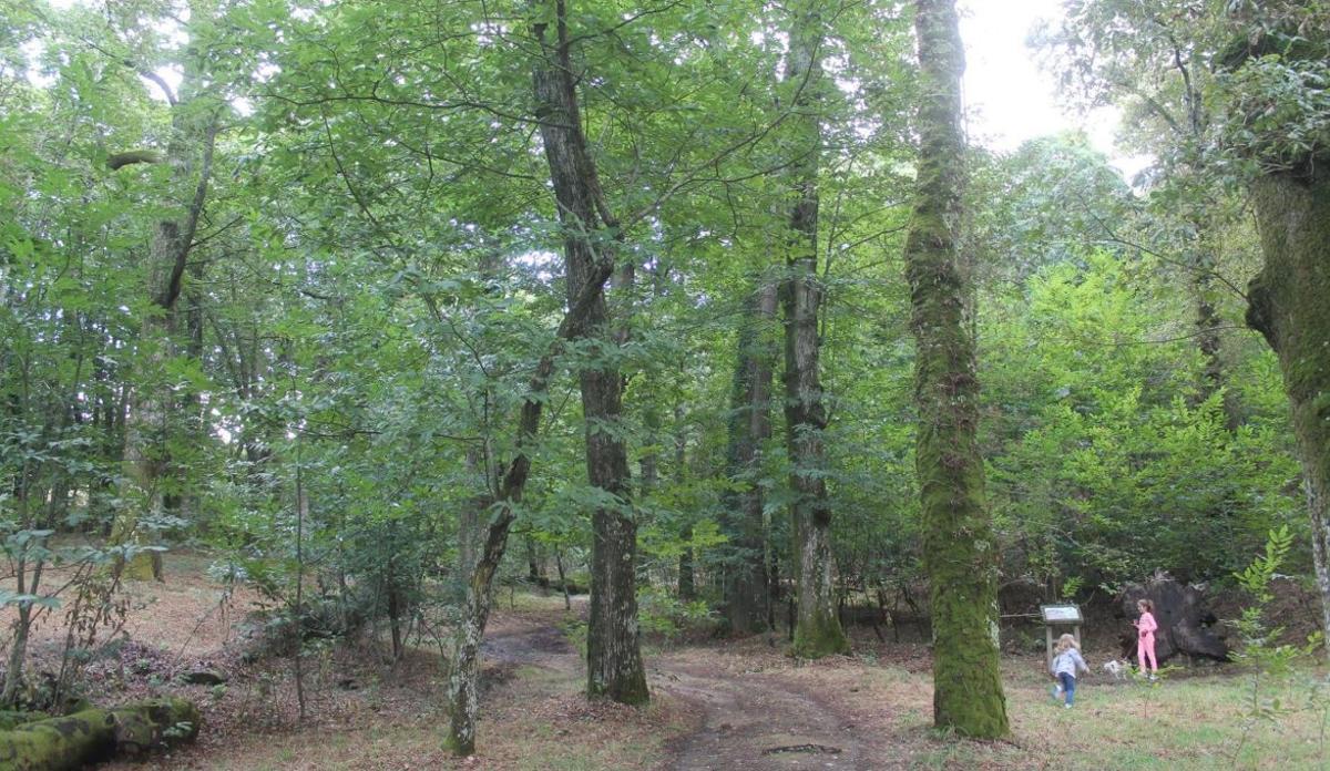 A fraga de Catasós, monumento natural de Galicia.
