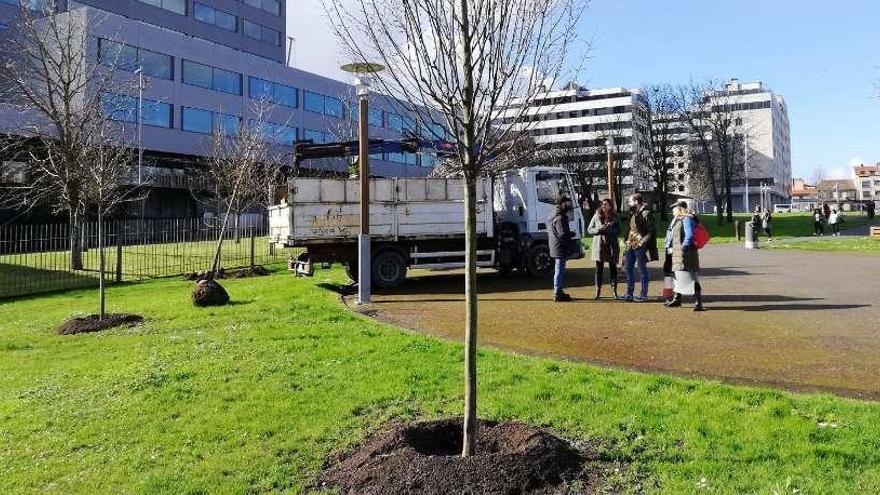 El concejal visita las inmediaciones de la Xunta donde se están plantando algunos árboles. // FdV