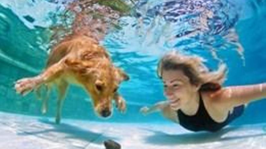Los perros podrán ir a la piscina en el primer &#039;Patas al agua&#039; de Mérida el 3 de septiembre