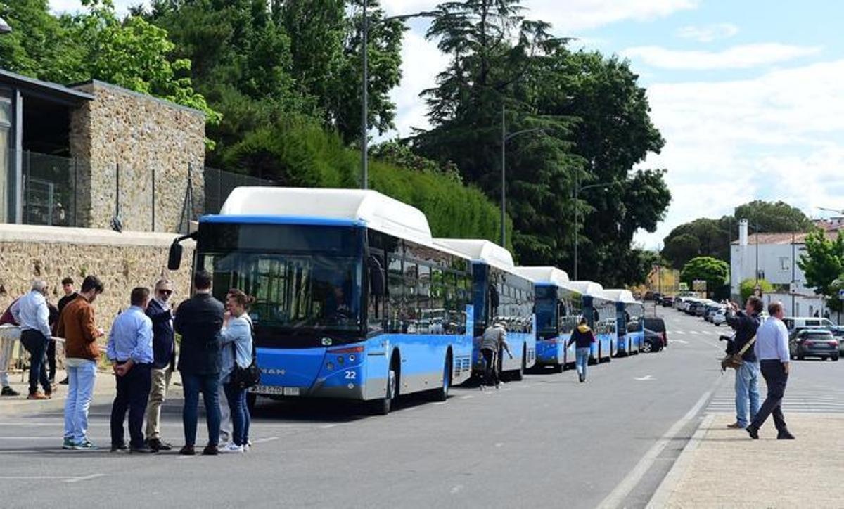 Autobuses de segunda mano procedentes de Madrid, en Plasencia.