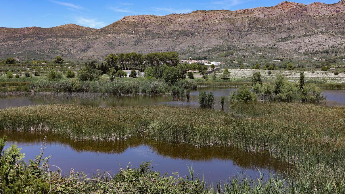 Aspecto que presenta estos días la Albufera de Gaianes, con la localidad homónima y la sierra de Benicadell al fondo.