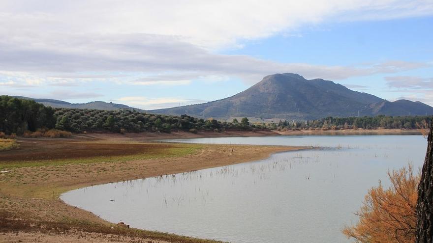 ¿España se desertifica o gana bosques?