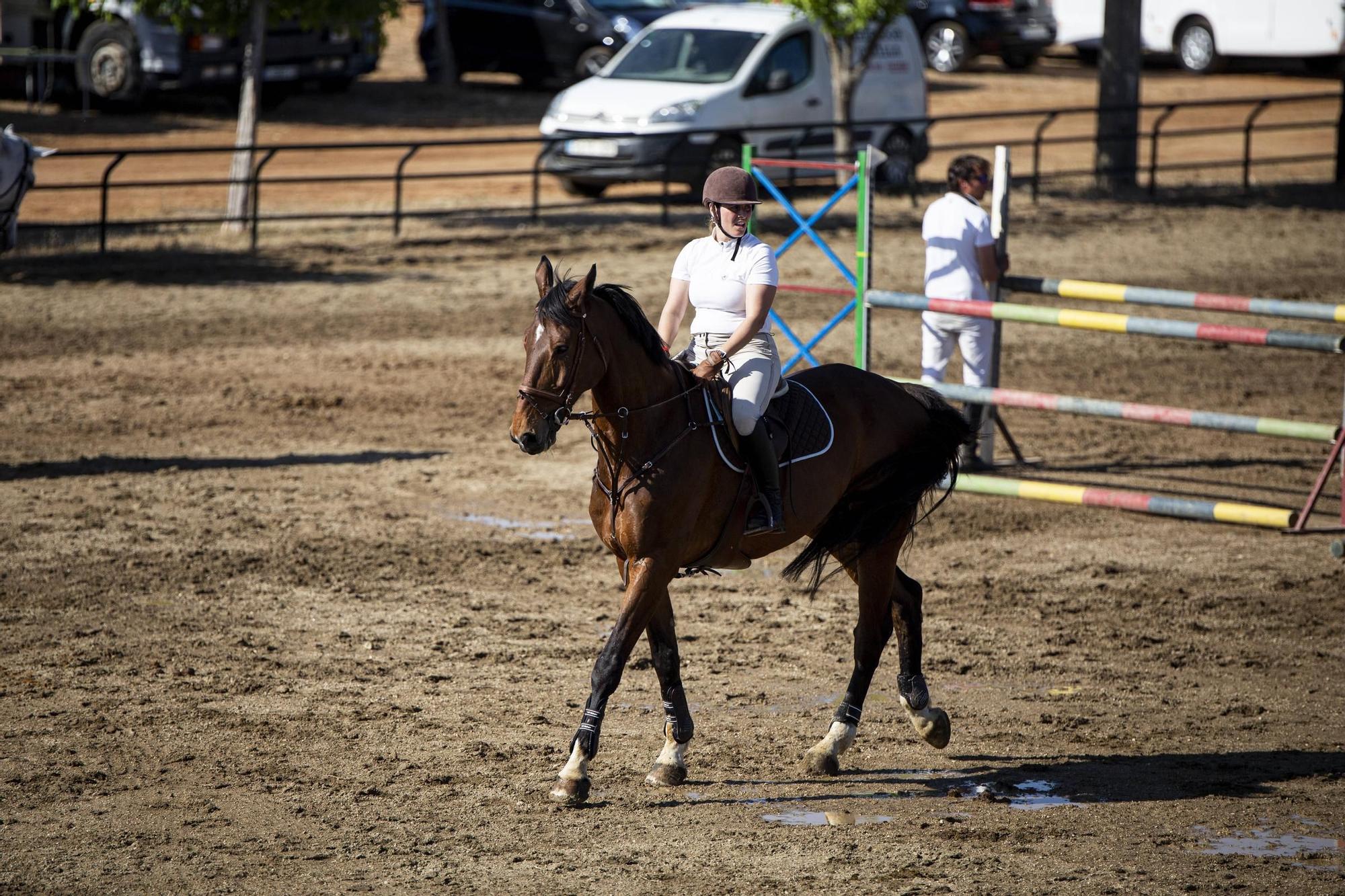 Participantes en la primera jornada del concurso nacional de saltos