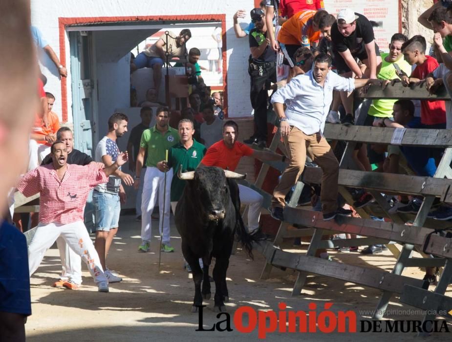 Primer encierro de Calasparra