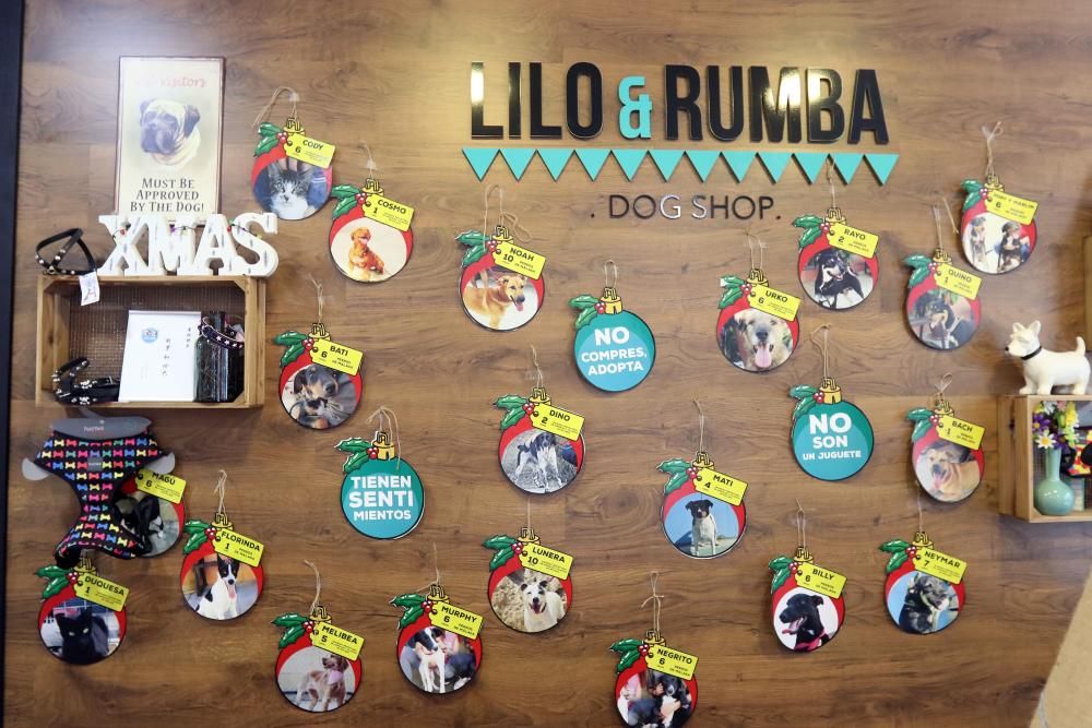 Complementos para perros en Lilo&Rumba