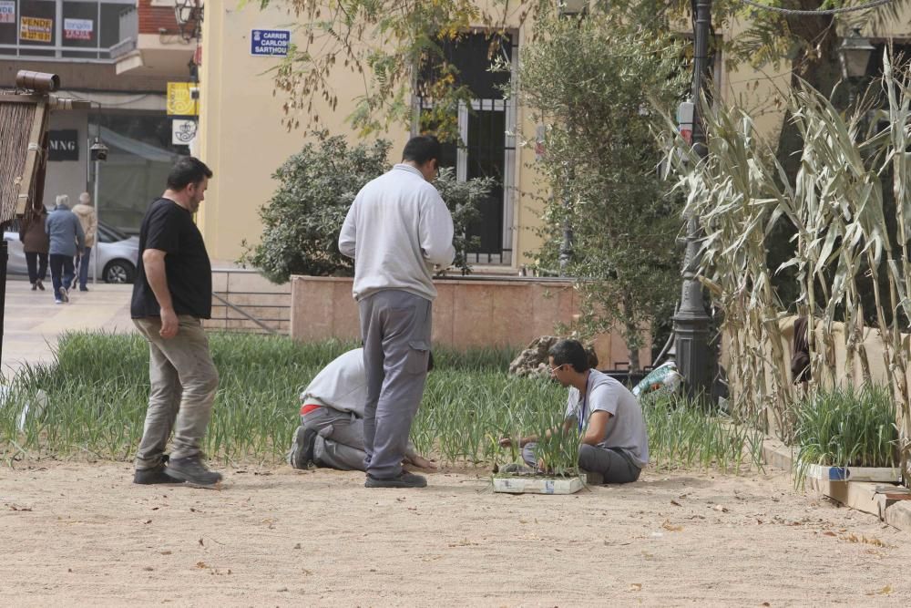 FirAll para escolares en Xàtiva