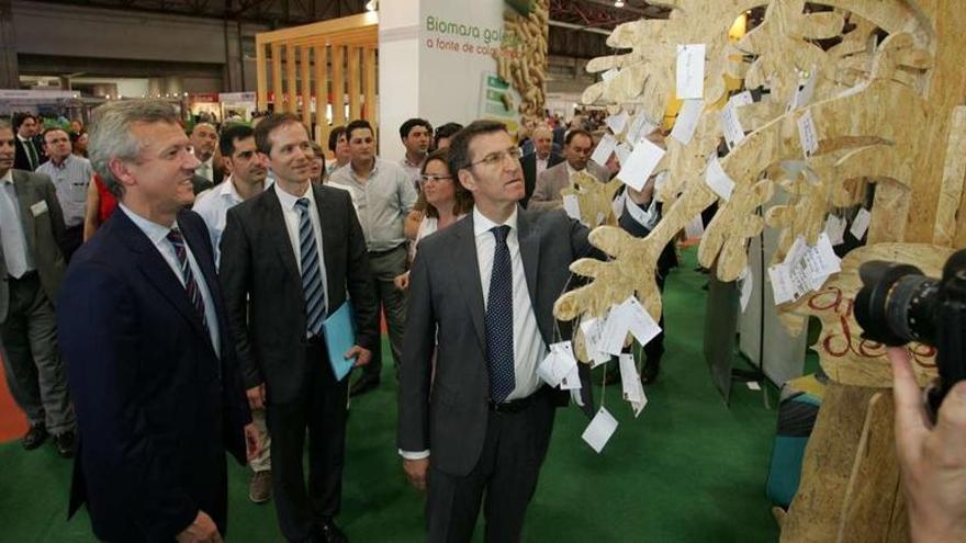 Alberto Núñez Feijóo se paró a leer mensajes en el árbol de los deseos de una campaña medioambiental.