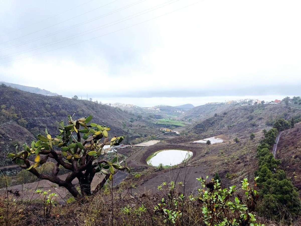 Vista del barranco de Tenoya desde la carretera de Teror.