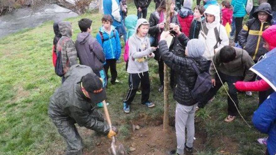 Els infants de la Seu celebren el Dia de l&#039;Arbre