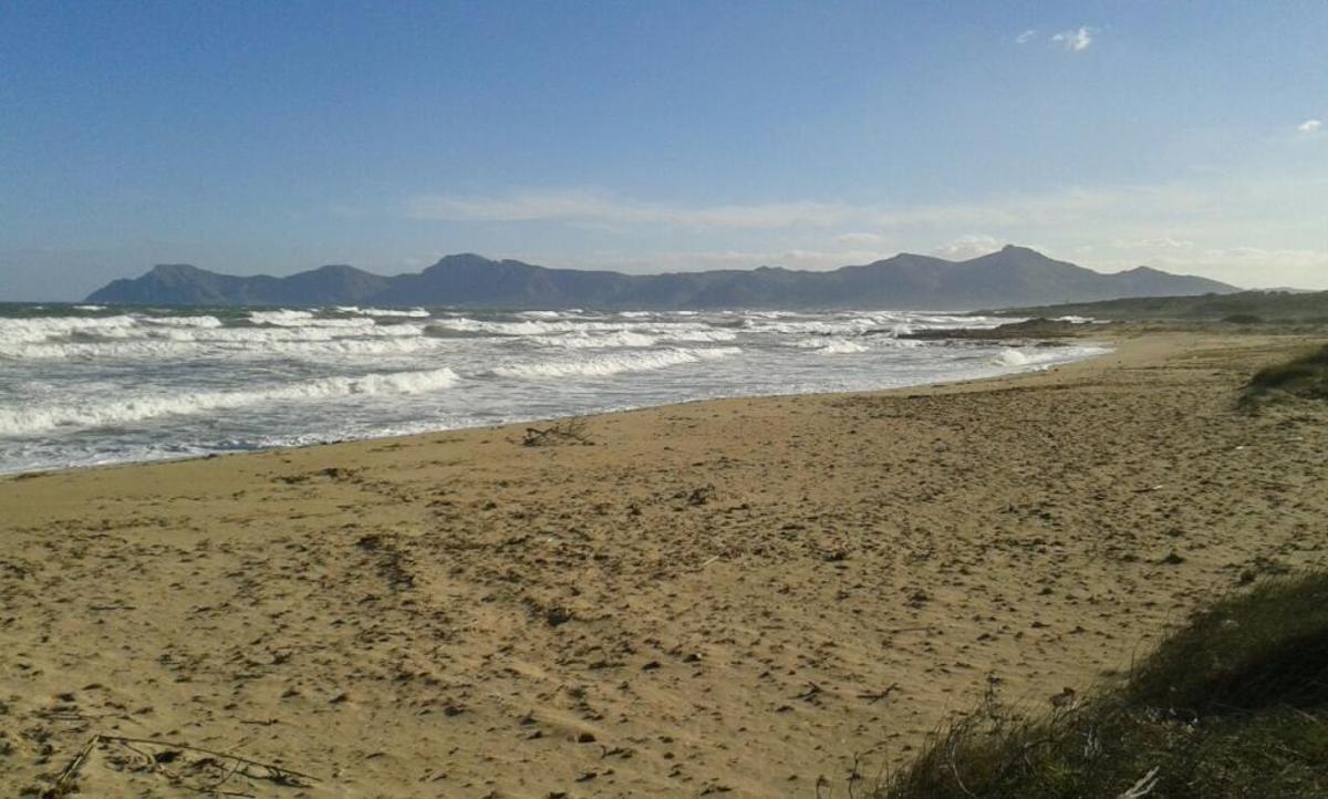 Seis playas en Mallorca para ir con tu perro