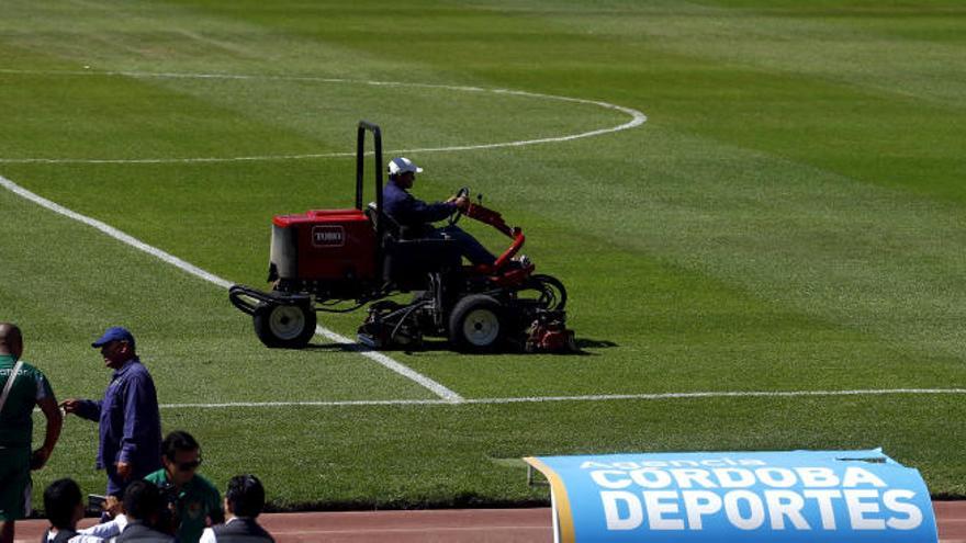 Confirmado, Kempes no es el jardinero