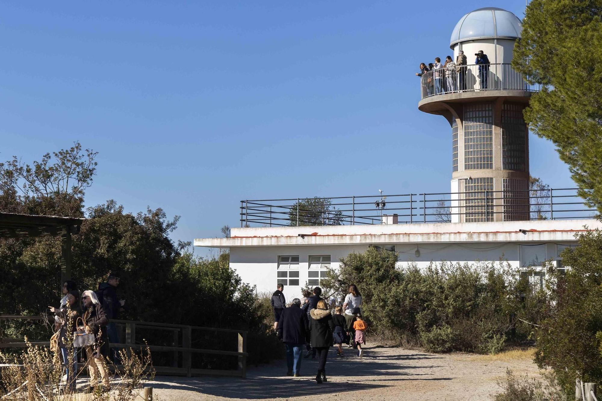 Los flamencos toman l'Albufera y preocupan a los arroceros