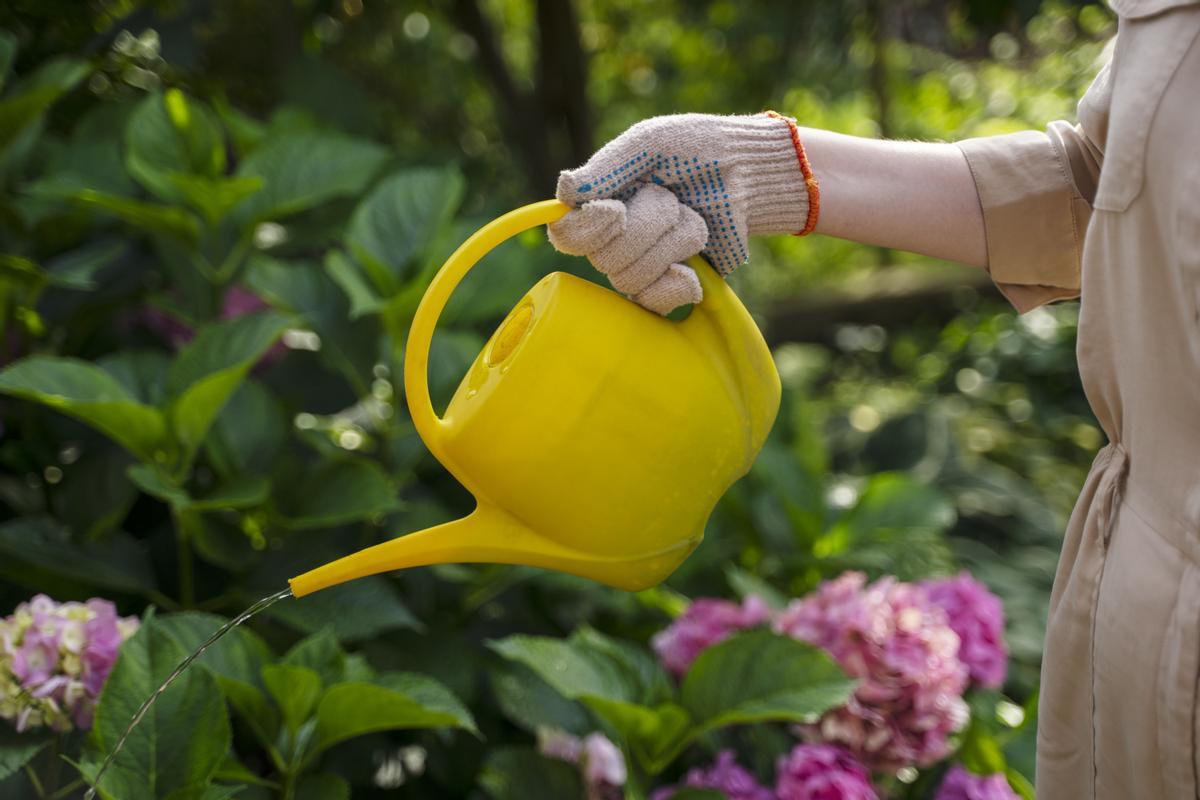 Recomendaciones de ahorro de agua en el jardín o terraza.