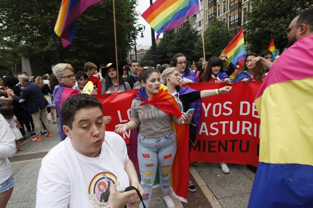 Manifestación del Orgullín del Norte.