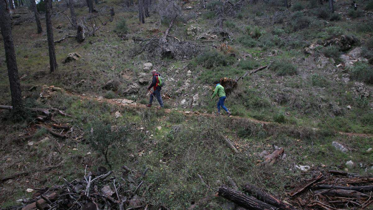 Senderistas realizan la ruta para subir a la Cova de Agres.