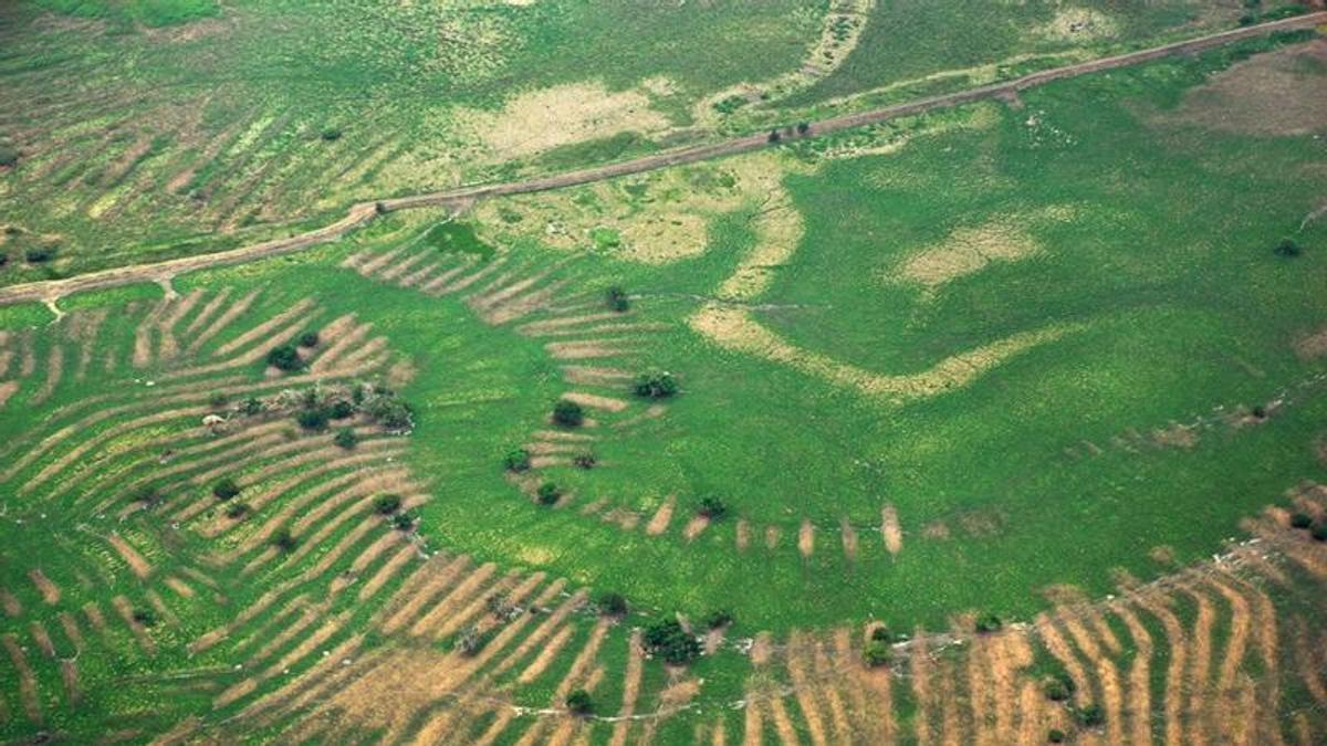 Canales e campos elevados de La Mojana durante unha sequía