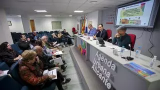 El bipartito de Alicante descarta cumplir los objetivos 2030 en fecha y habla de "planificación"