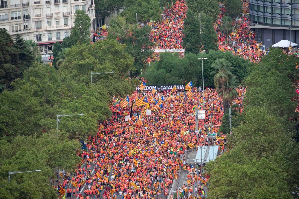 Diada 2018: Totes les imatges de la manifestació