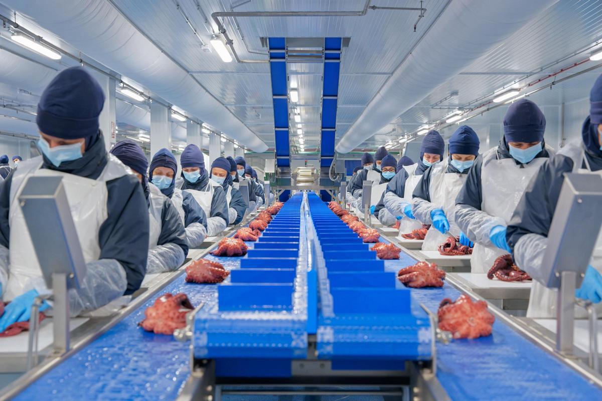 Trabajadoras en una línea de producción de Profand.