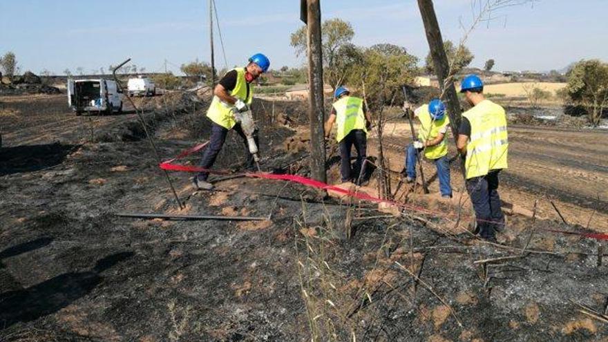 Treballs d&#039;ahir al matí per substituir pals elèctrics malmesos pel pas de les flames de dijous