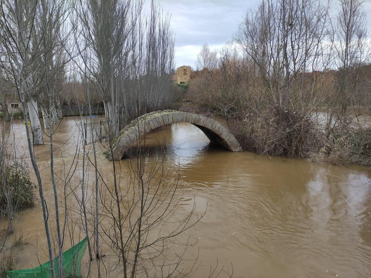 GALERÍA / El río Órbigo desbordado en Benavente, en imágenes GALERÍA / El río Órbigo desbordado en Benavente, en imágenes