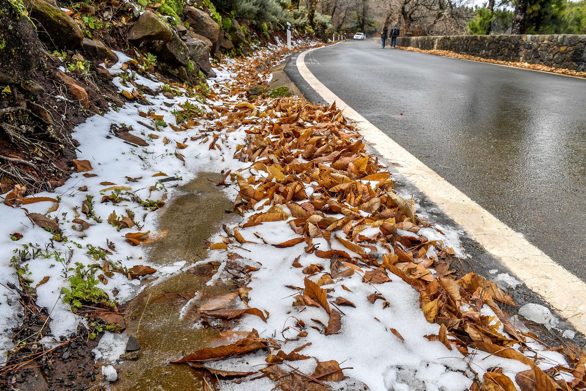 Nevada en Gran Canaria (16/02/23)