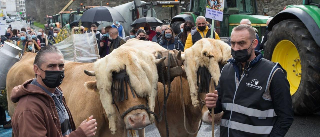 Tractorada en Lugo contra los bajos precios de la leche.