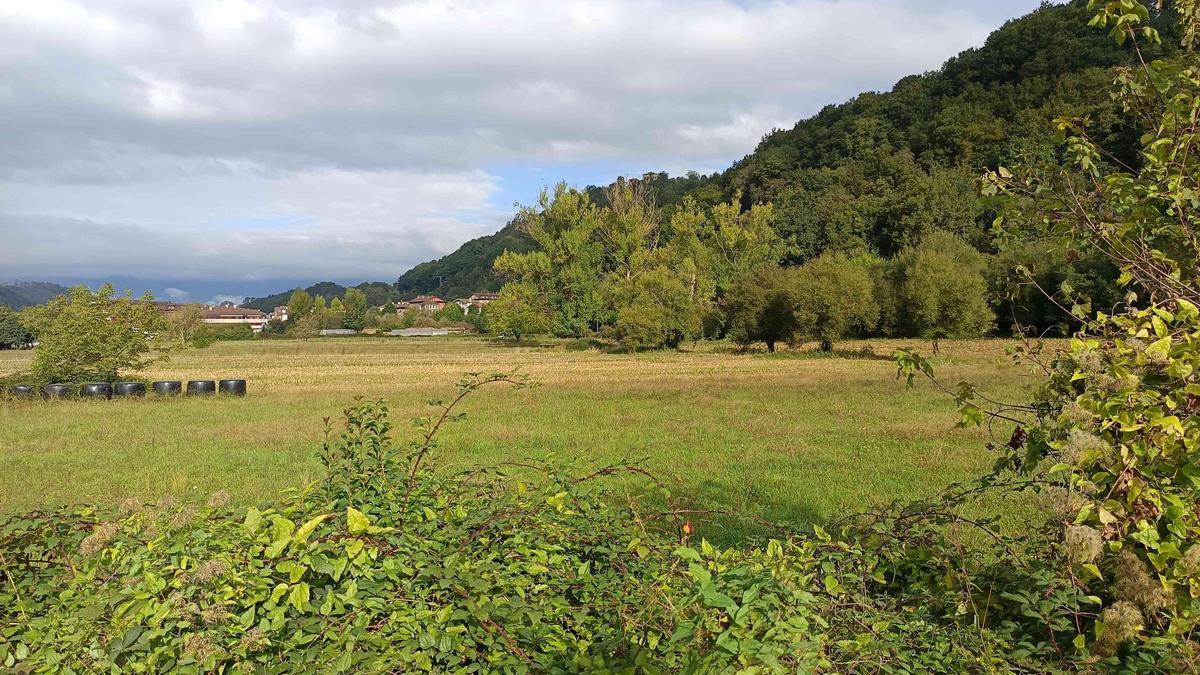 Ería de la Vega de Contranquíl (Cangas de Onís).