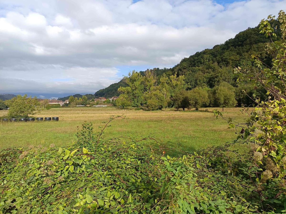 Ería de la Vega de Contranquíl (Cangas de Onís).