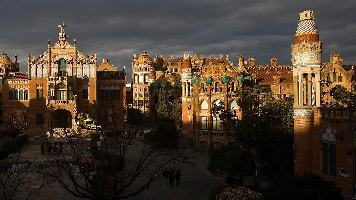 BARCELONA 19/1/2009 HOSPITAL DE SANT PAU FOTO DE JULIO CARBO