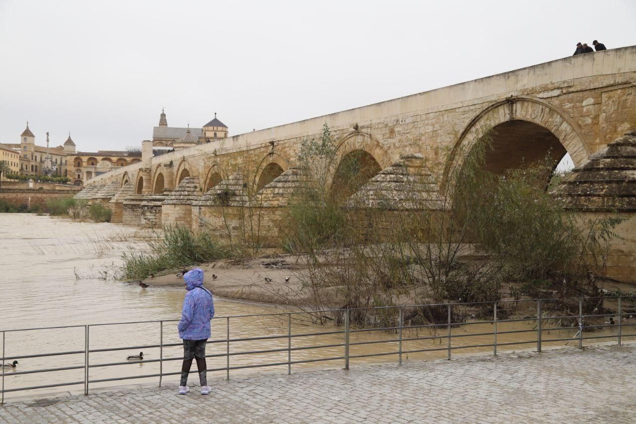 Sadeco culmina la limpieza de las zonas alcanzadas por el río