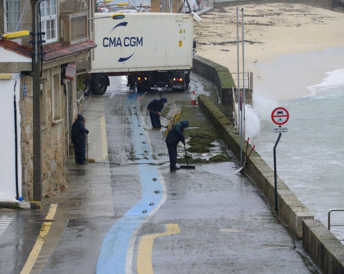 Un camión maniobra entre las algas de la calzada. |  G.N.