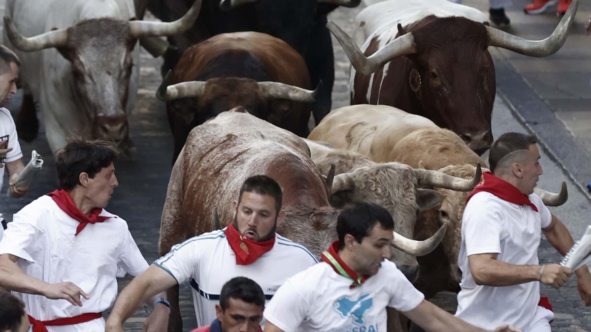 PAMPLONA, 07/07/2022.- Toros de la ganadería gaditana Núñez del Cuvillo, y mansos de la ganadería navarra de Macua, que este año han guiado a la manada, antes de entrar en el tramo del Ayuntamiento durante el primer encierro de los Sanfermines 2022, una carrera rápida, de 2:35 minutos, y emocionante, con momentos de tensión, como el vivido en la entrada a la plaza, donde se ha formado un montón de corredores. EFE/Jesús Diges