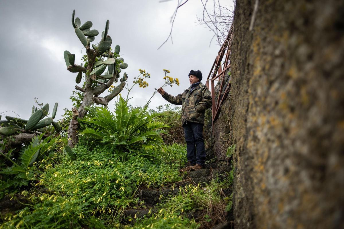 Un viaje a la Anaga profunda: Taborno