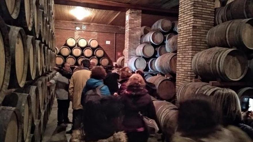 La Ruta del Vino en Bus, un referente para el turismo en Aragón